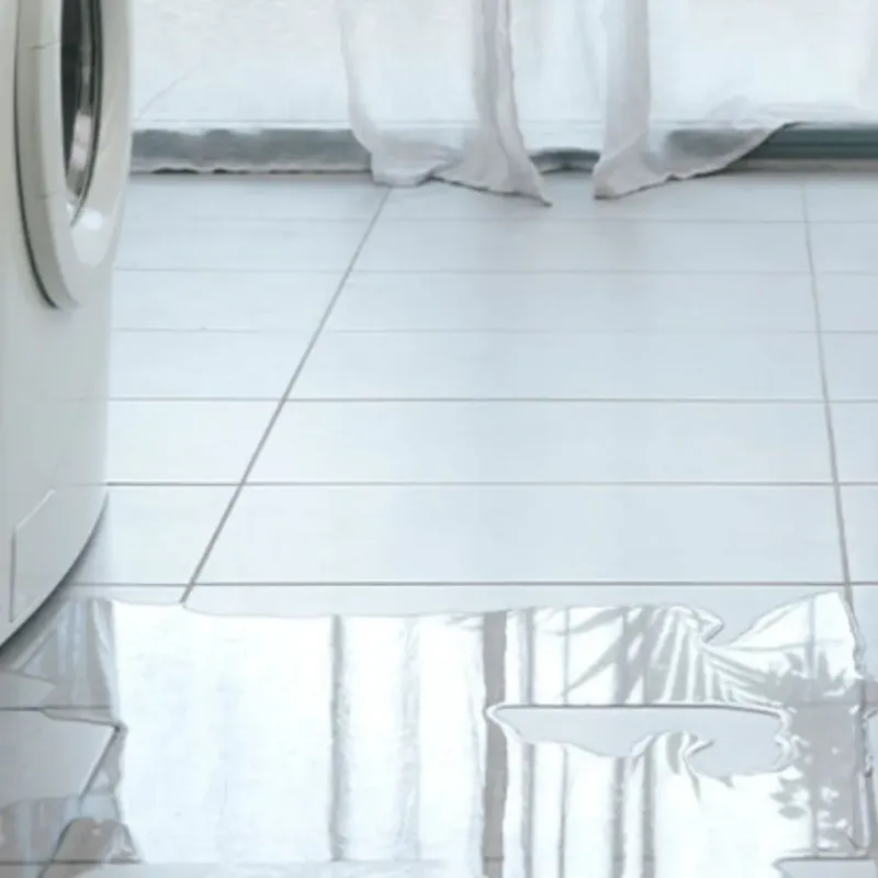 Appliance Leak Cleanup in Bradner, OH