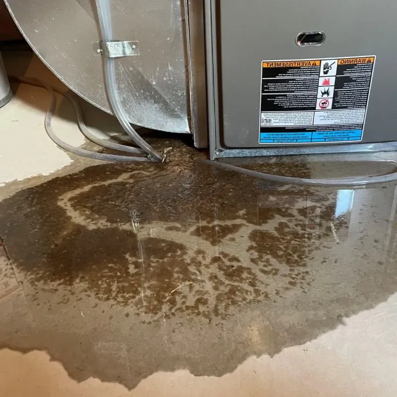 Pipe Burst and Leak Restoration in Bradner, OH