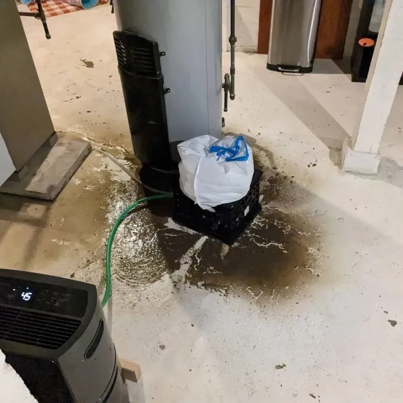 Sewage Backup Cleanup Service in Bradner, OH
